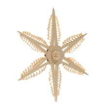 Fensterschmuck Spanstern Mitte