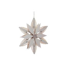 Fensterbild Spanstern mit